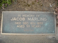 1968